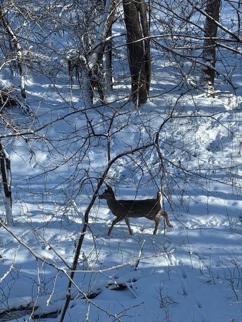 8008 Dunkirk Lane North Maple Grove, MN 55311 - Photo 13 of 32