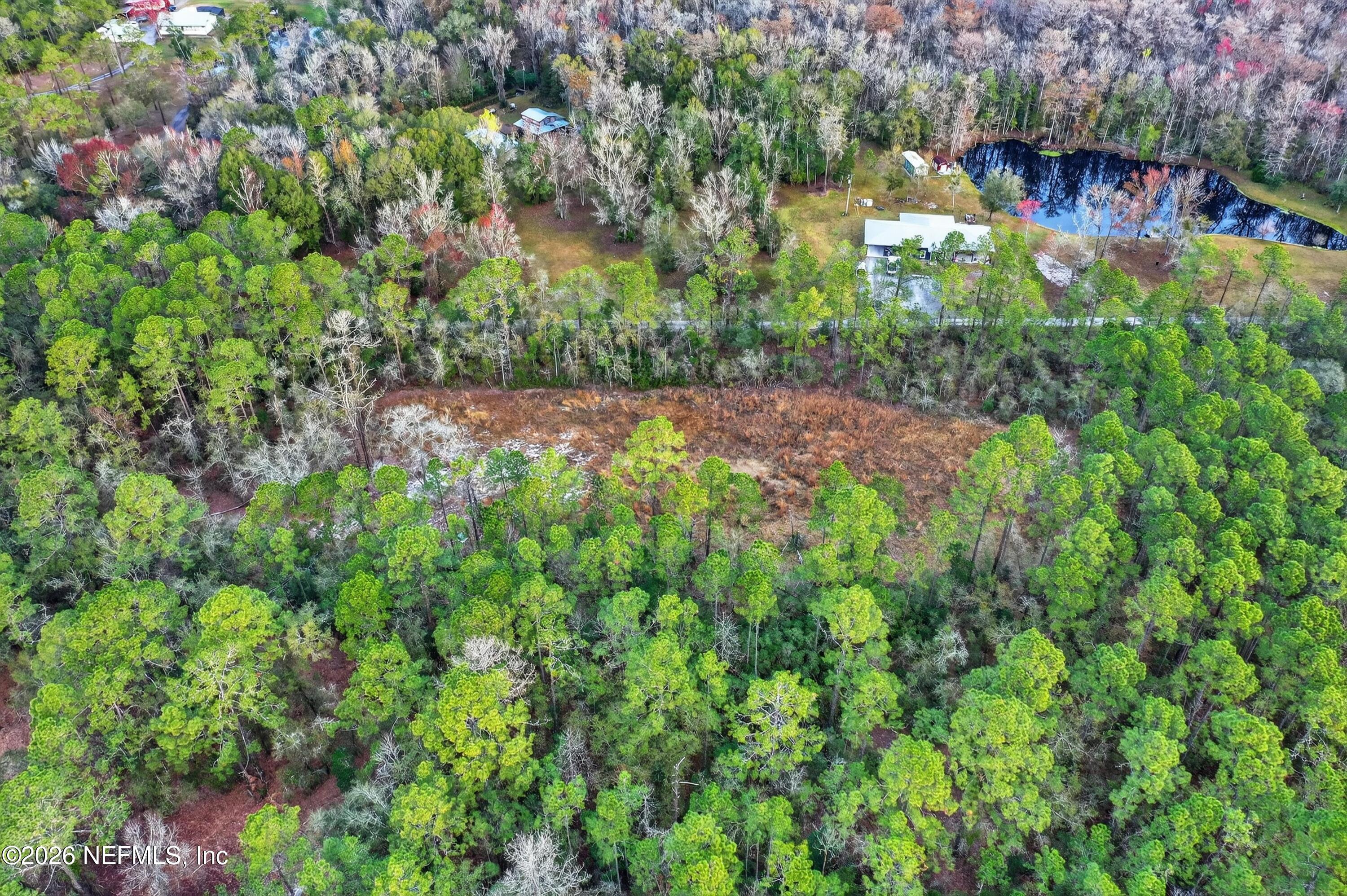 3570 Joe Ashton Road St. Augustine, FL 32092 - Photo 11 of 22 a view of a yard with plants and large trees