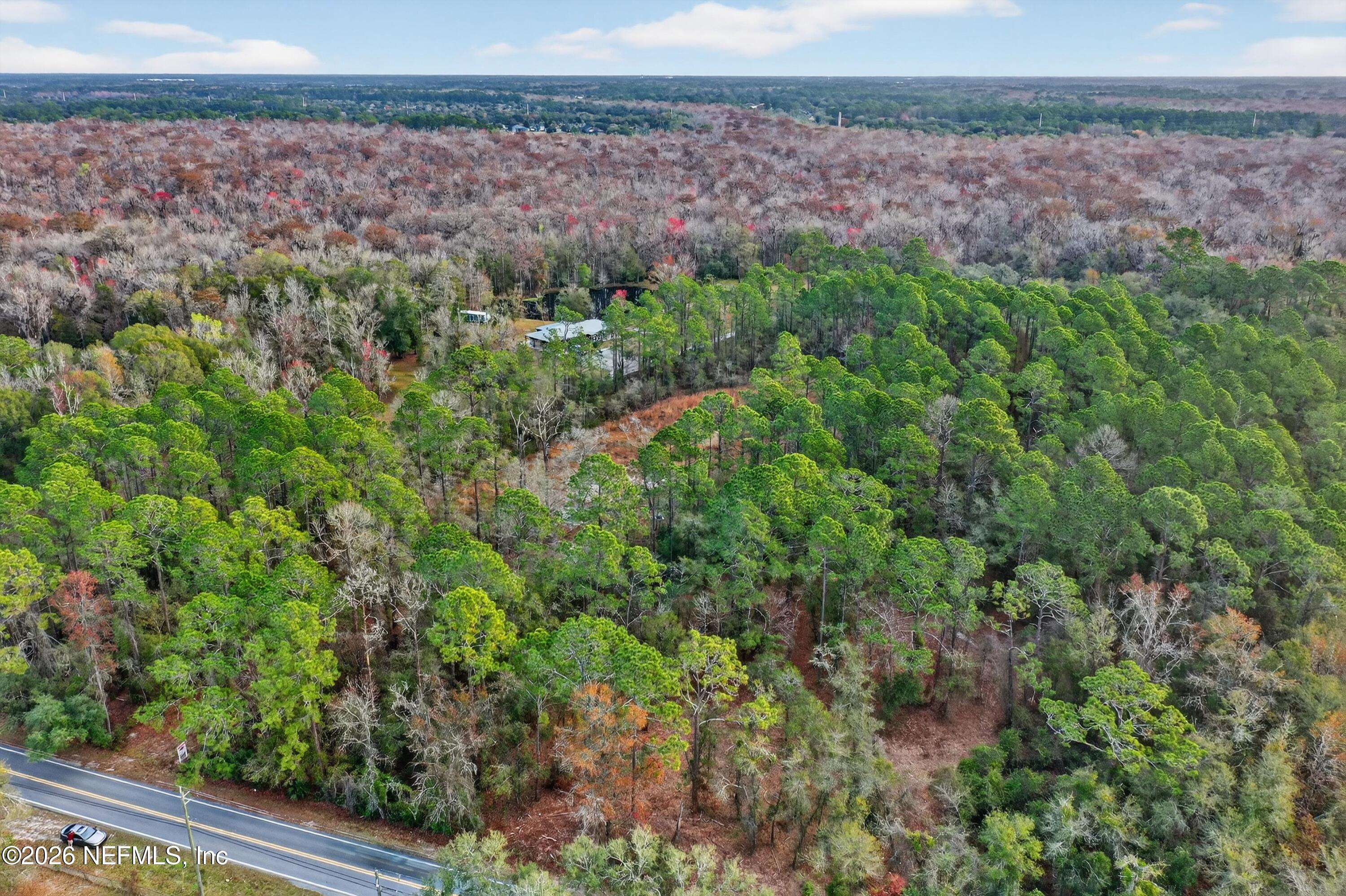 3570 Joe Ashton Road St. Augustine, FL 32092 - Photo 18 of 22 a view of a yard with plants