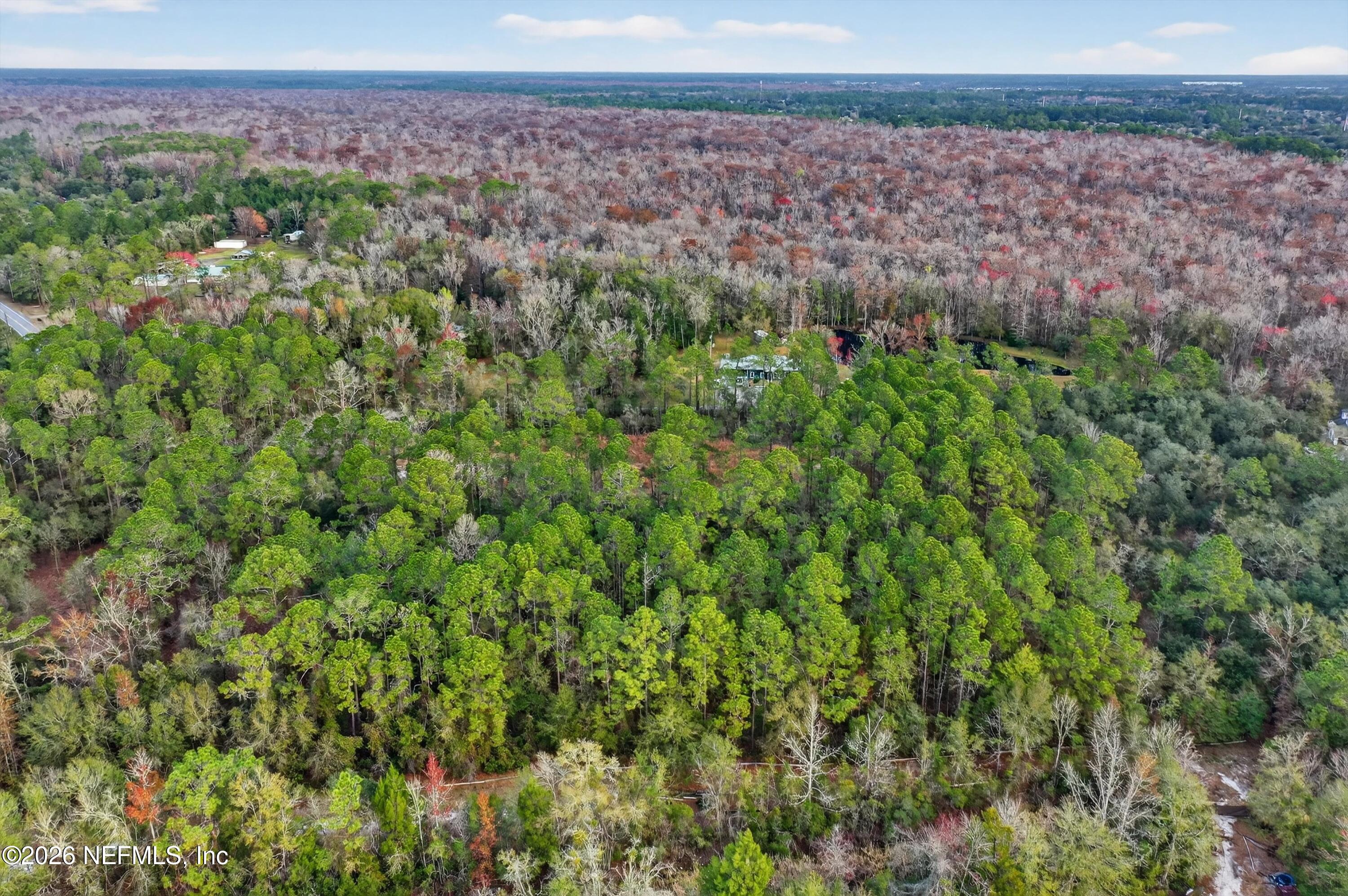3570 Joe Ashton Road St. Augustine, FL 32092 - Photo 19 of 22 a view of a field with a tree