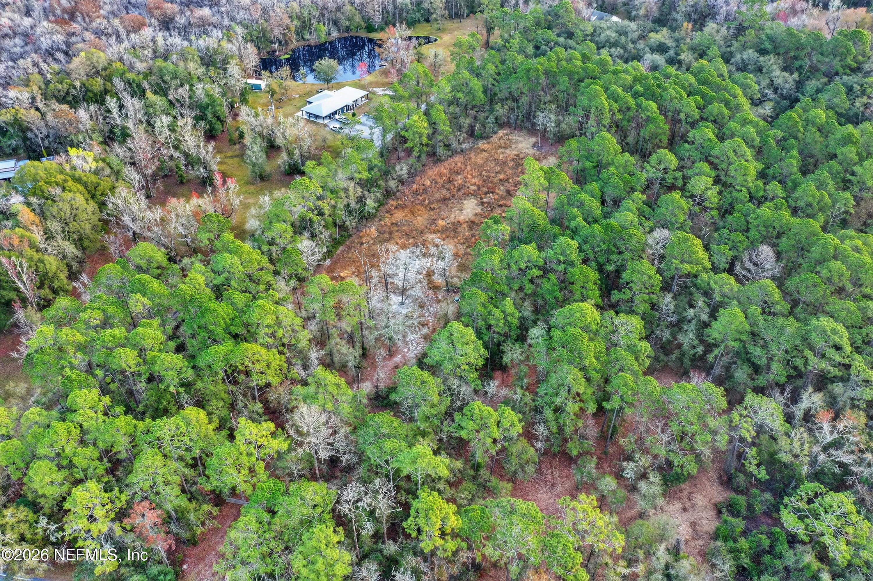 3570 Joe Ashton Road St. Augustine, FL 32092 - Photo 9 of 22 a view of a garden with plants
