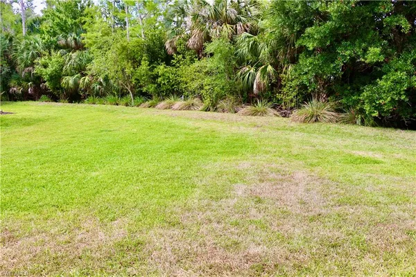 a view of yard with green space