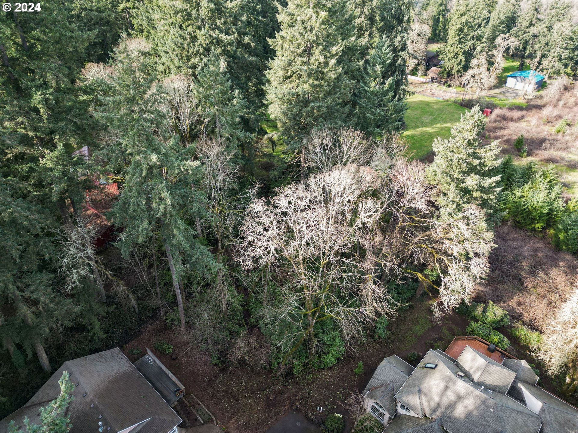 2375 Heath Street South Salem, OR 97302 - Photo 2 of 8 a view of a lake with lots of trees