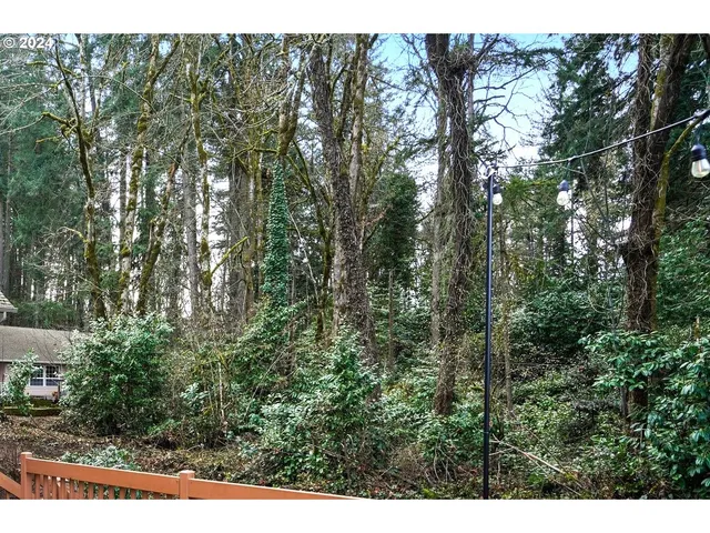 a view of a forest with trees in front of it