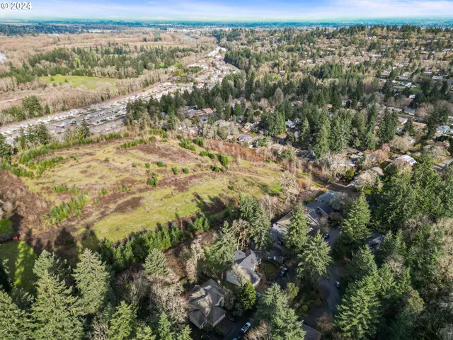 a view of a yard from a yard