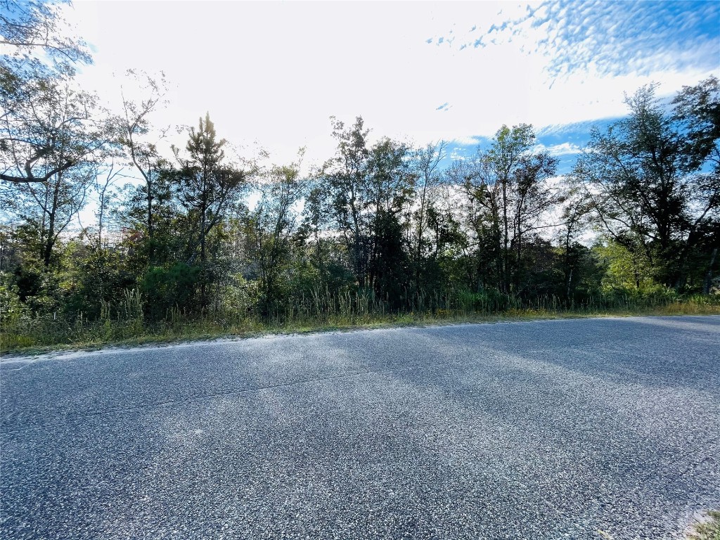 Church Drive Hilliard, FL 32046 - Photo 2 of 4 a view of a field with trees in the background