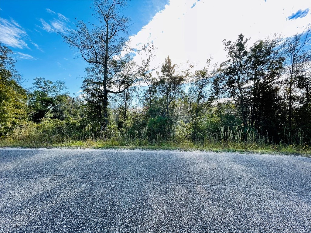 Church Drive Hilliard, FL 32046 - Photo 4 of 4 a view of a field with trees in the background