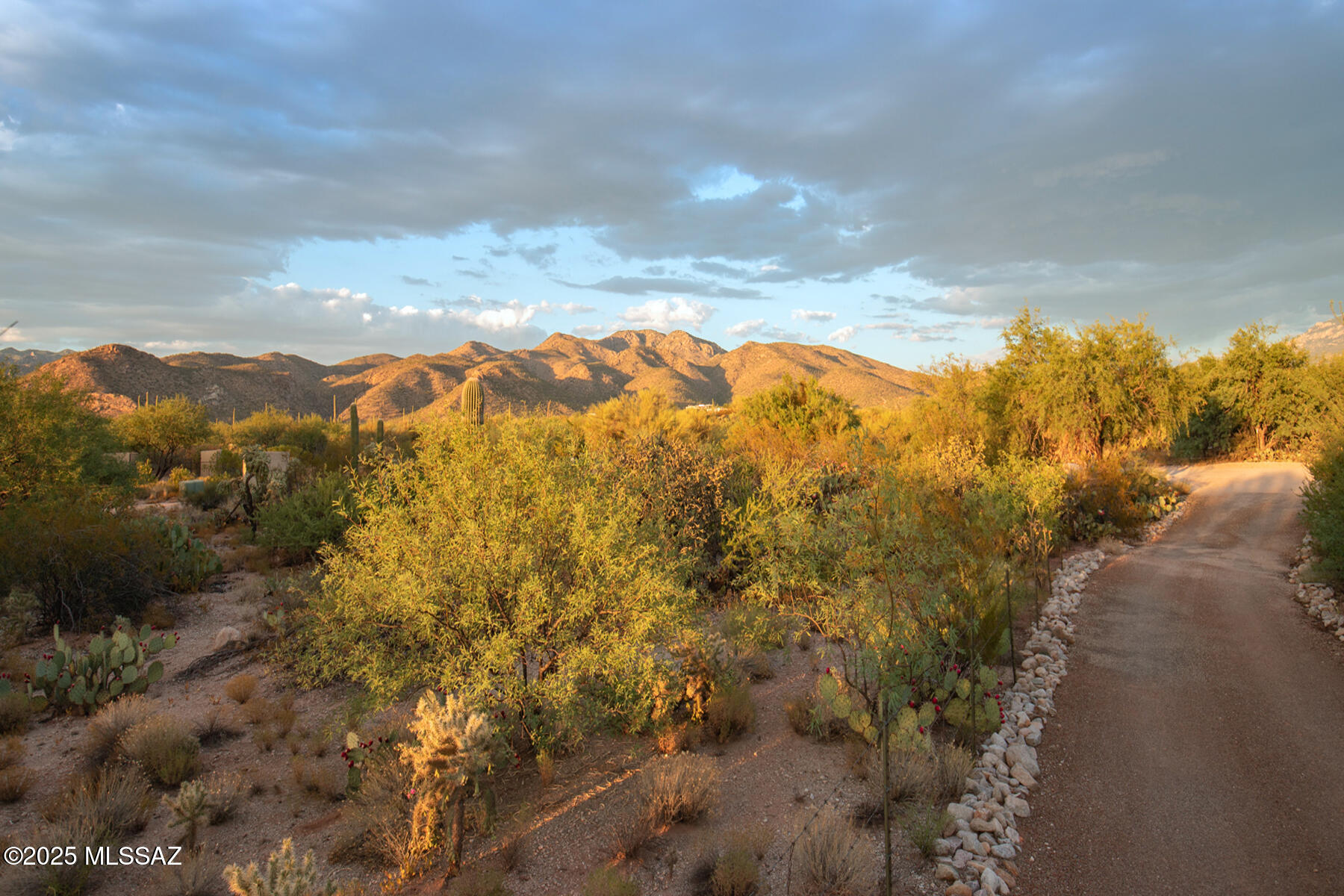 3071 North Wentworth Road Tucson, AZ 85749 - Photo 40 of 50