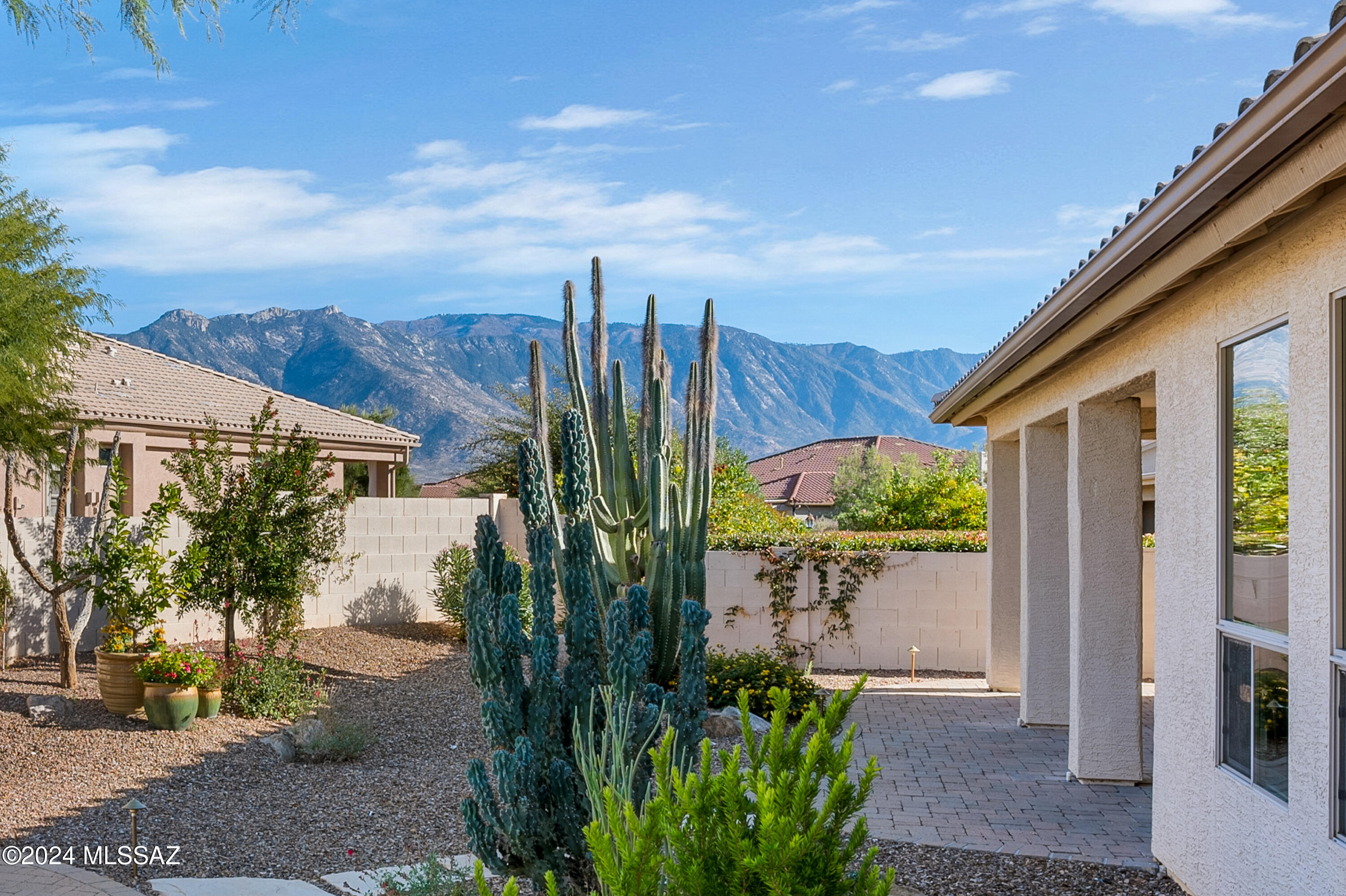 61890 East Northwood Road Saddlebrooke, AZ 85739 - Photo 47 of 50