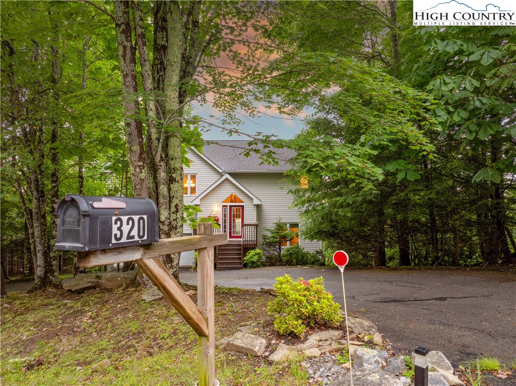 320 Pinnacle Ridge Road Beech Mountain, NC 28604 - Photo 3 of 36
