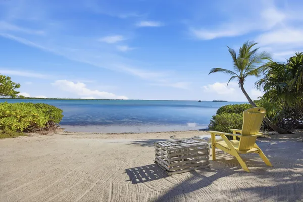 a view of a palm tree with a palm tree