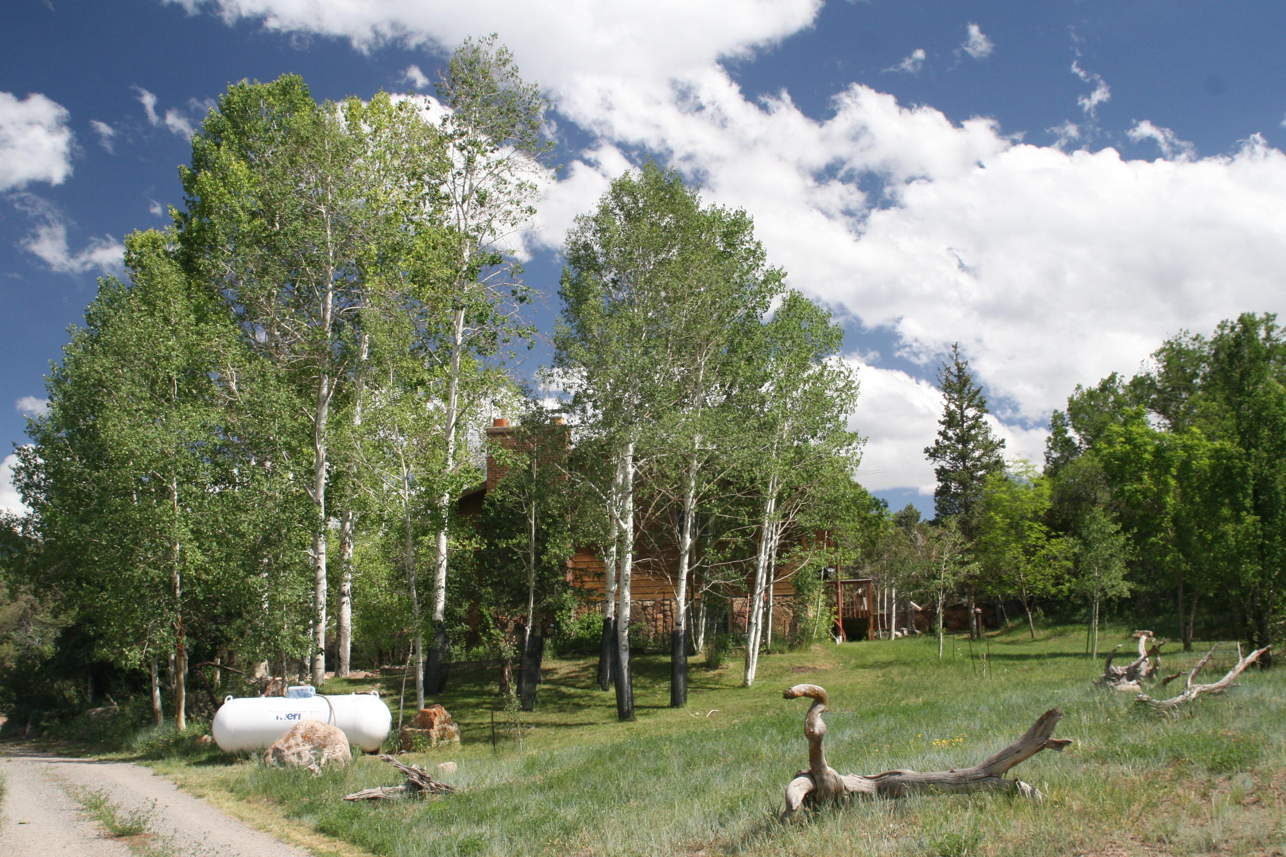 5733 County Road 23 Ridgway, CO 81432 - Photo 1 of 36 a park with lots of green space and trees