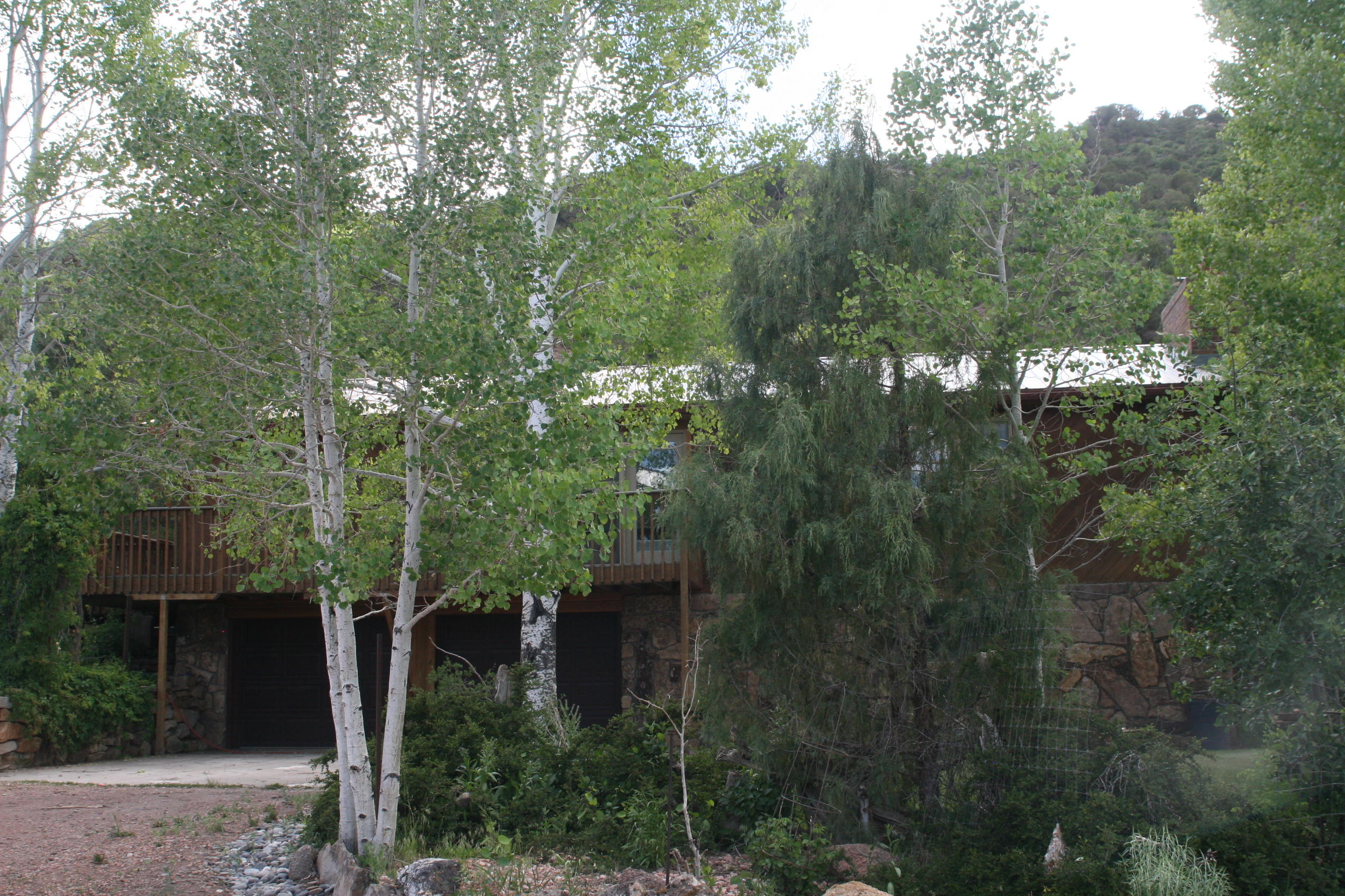 5733 County Road 23 Ridgway, CO 81432 - Photo 3 of 36 a view of a house with a yard