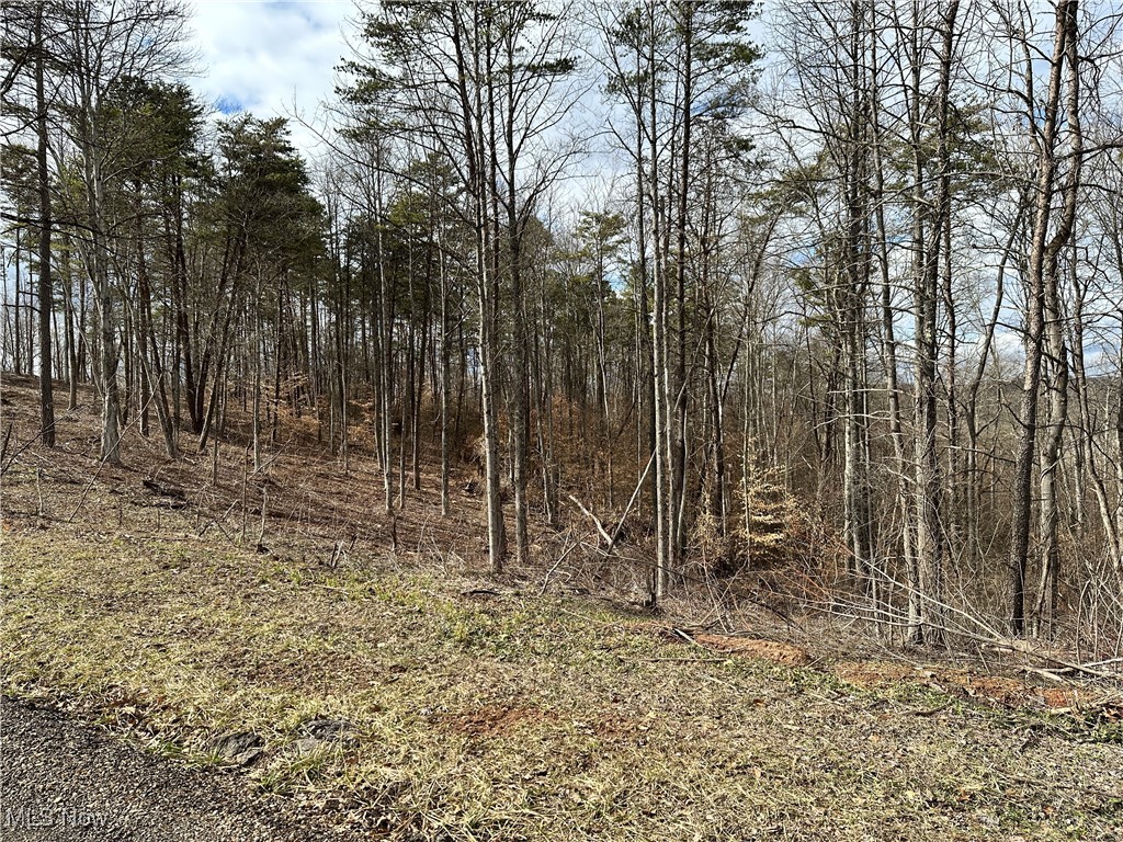 0 Fisher Ridge Road Fleming, OH 45729 - Photo 3 of 6 View of nature