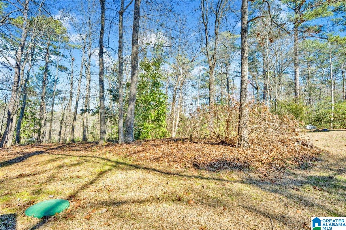 1069 Liberty Road Chelsea, AL 35043 - Photo 50 of 53