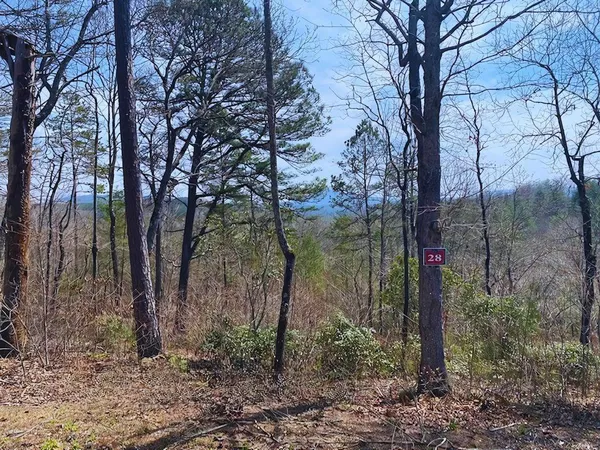 $44,500 | Lot 28 Brasstown Trail, Warne, NC 28909