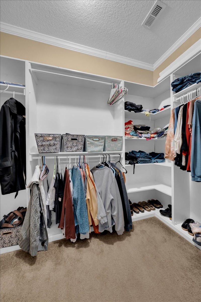 1798 Holly Grove Road Lewisburg, TN 37091 - Photo 23 of 55 a view of walk in closet with clothes and shoes