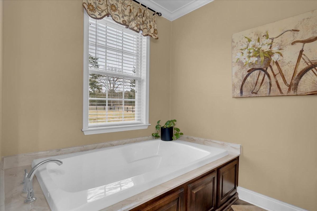 1798 Holly Grove Road Lewisburg, TN 37091 - Photo 26 of 55 a bathroom with a tub and a window
