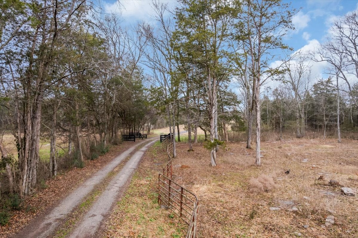 1798 Holly Grove Road Lewisburg, TN 37091 - Photo 36 of 55 a view of a forest with trees in the background