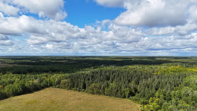 $139,900 | 31 Pomroy Twp Mn 56688, Wirt, MN 56688