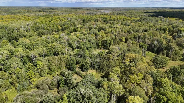 $139,900 | 31 Pomroy Twp Mn 56688, Wirt, MN 56688