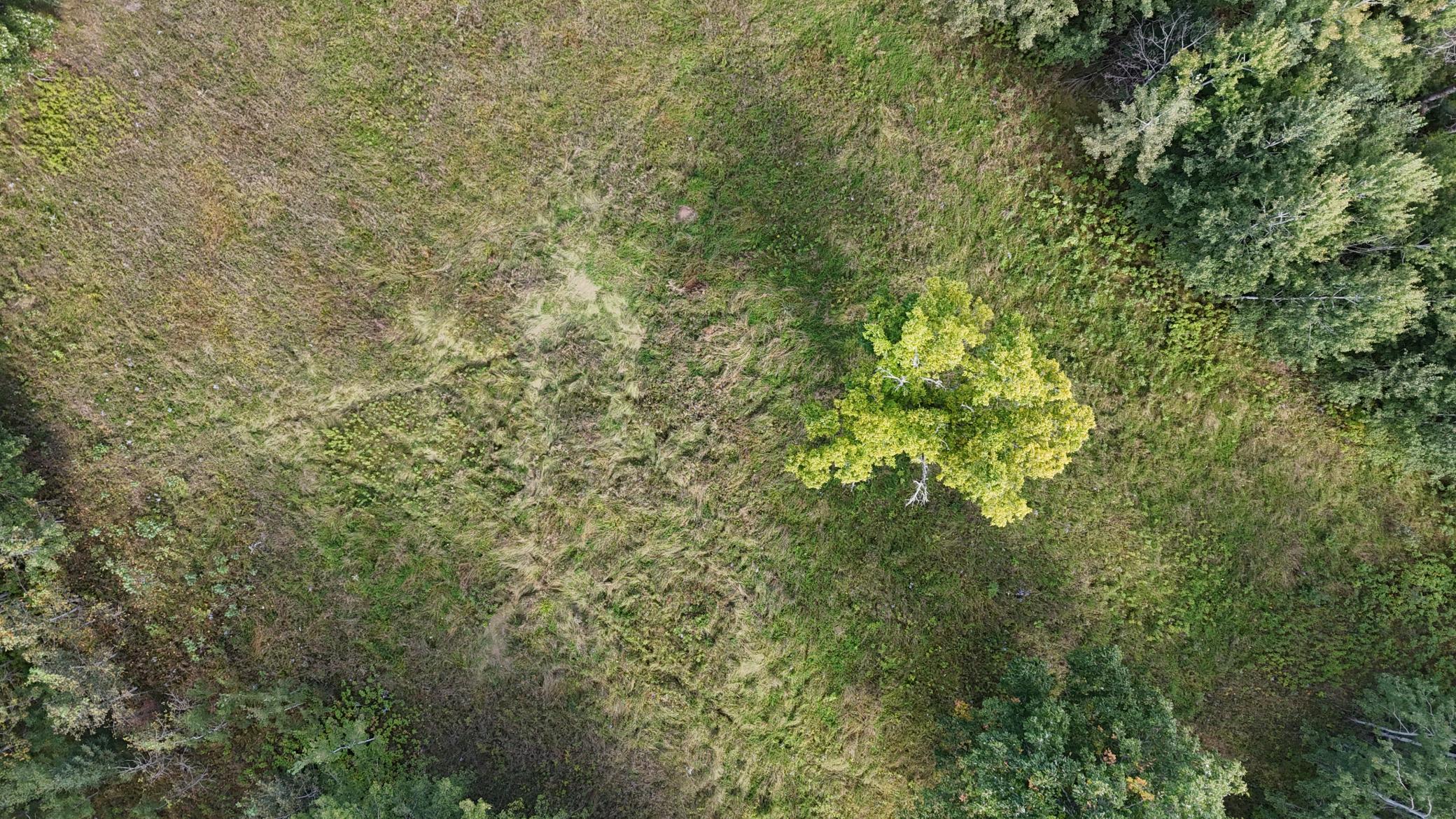 31 Pomroy Twp Mn 56688 Wirt, MN 56688 - Photo 7 of 20