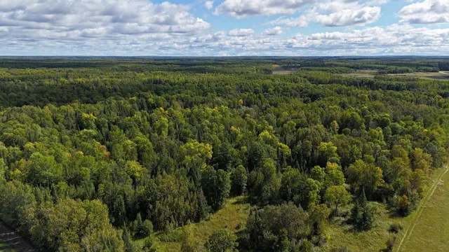 $139,900 | 31 Pomroy Twp Mn 56688, Wirt, MN 56688