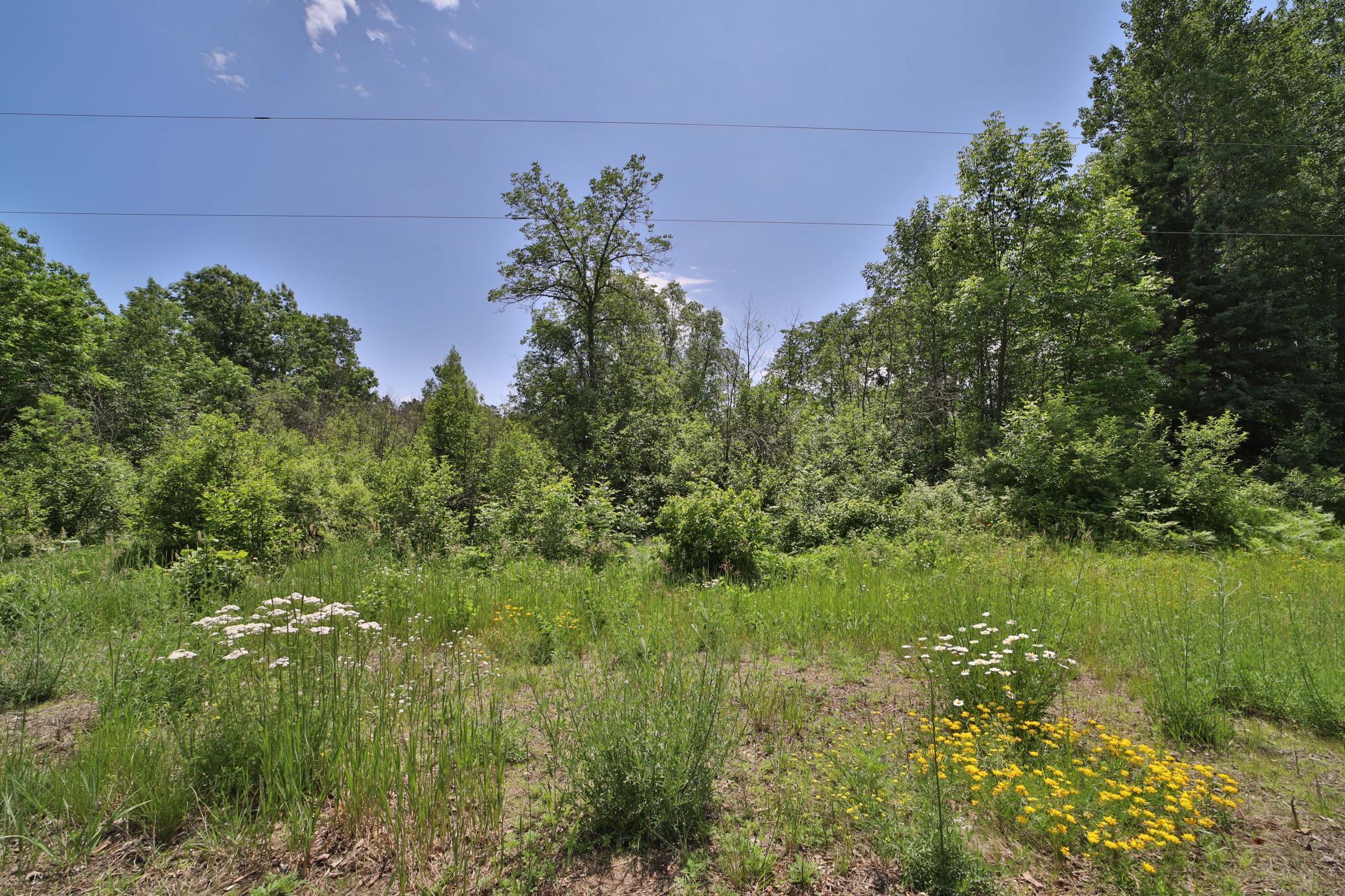 134 County Road 134 Pine River, MN 56474 - Photo 11 of 18