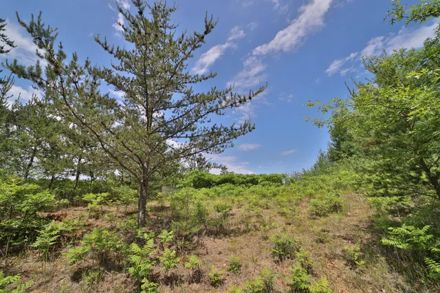 $119,900 | 134 County Road 134, Pine River, MN 56474