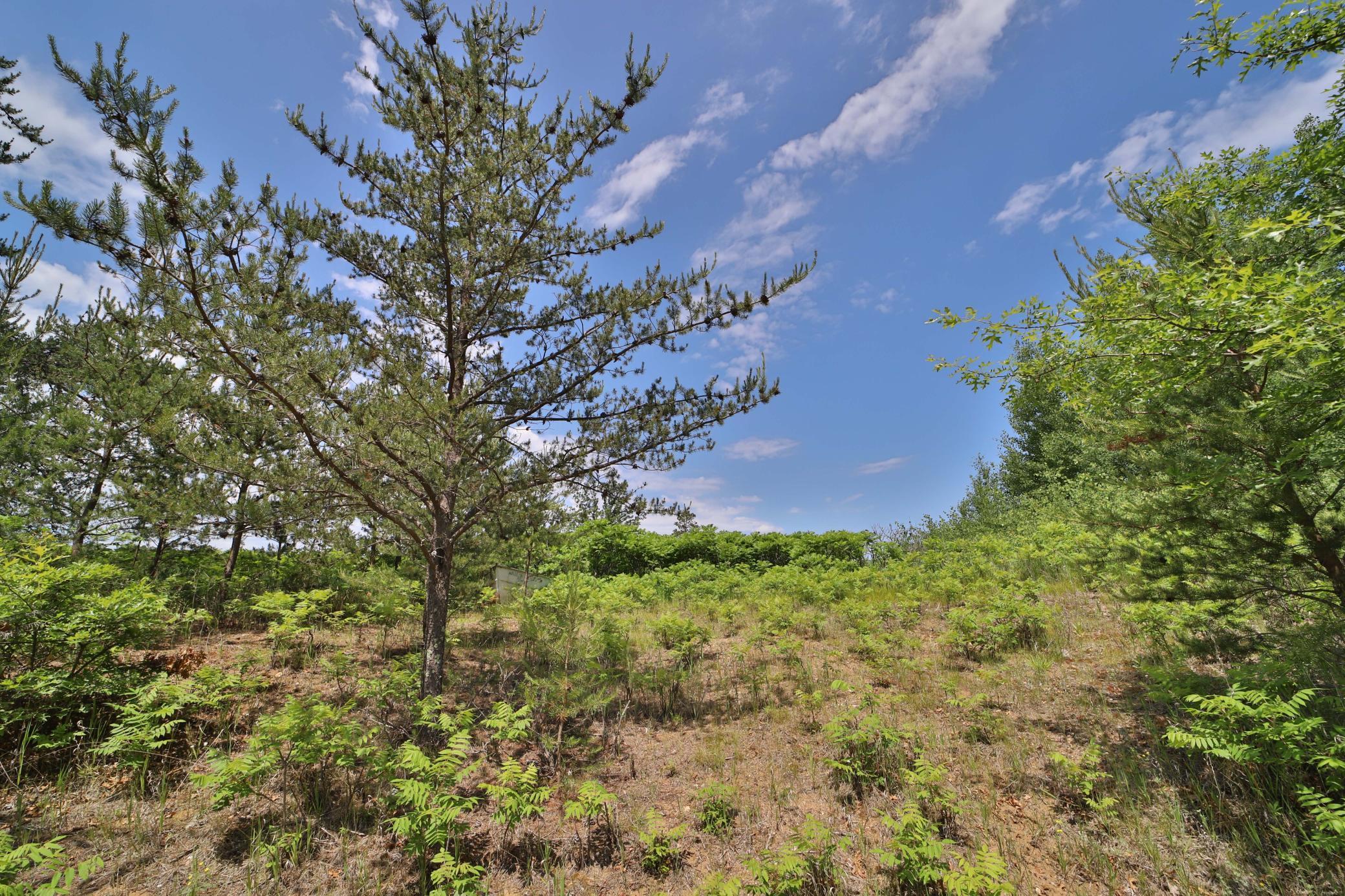 134 County Road 134 Pine River, MN 56474 - Photo 12 of 18