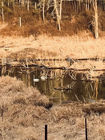 $119,900 | 134 County Road 134, Pine River, MN 56474