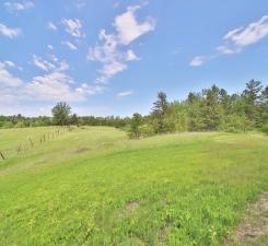 134 County Road 134 Pine River, MN 56474 - Photo 4 of 18