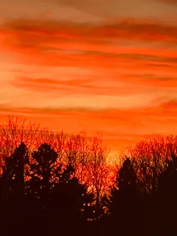 $119,900 | 134 County Road 134, Pine River, MN 56474