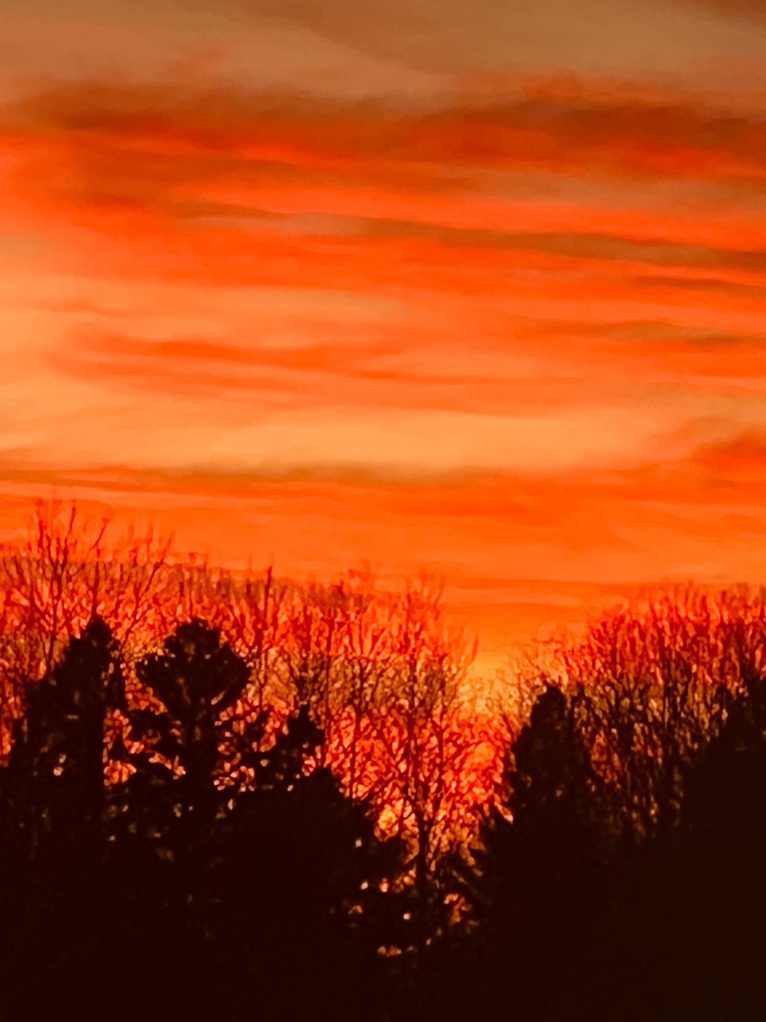 134 County Road 134 Pine River, MN 56474 - Photo 9 of 18