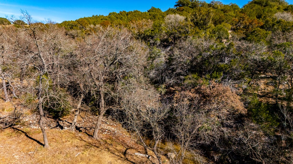 Lot 13 Pitre Springs Road Kerrville, TX 78028 - Photo 25 of 31 a view of a yard