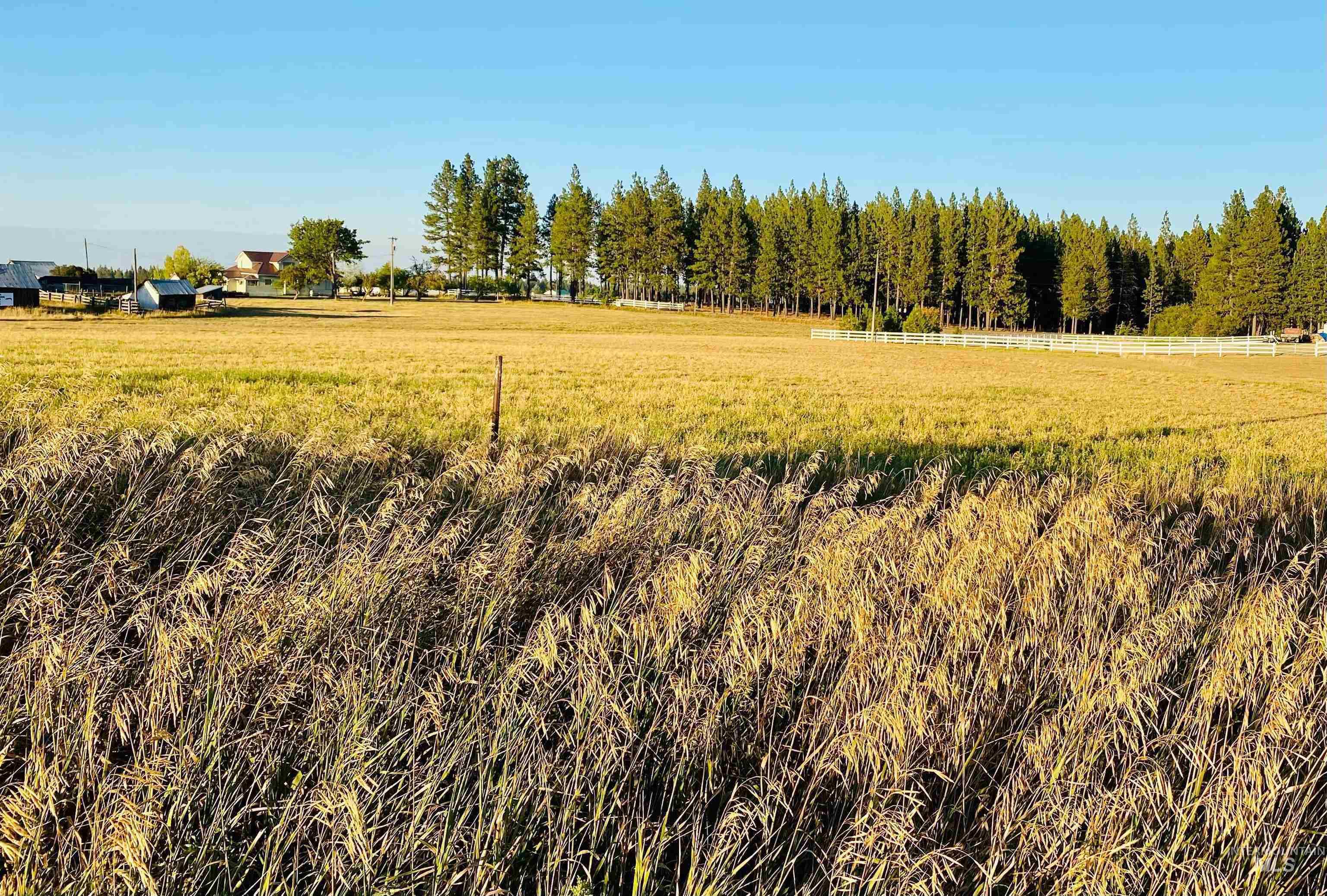 Lot 1 Fox Road Winchester, ID 83555 - Photo 1 of 1 Gallery Image 1
