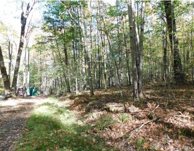 8005 Johnson Hill Road, Unit 2 Clarksville, NY 14715 - Photo 29 of 42