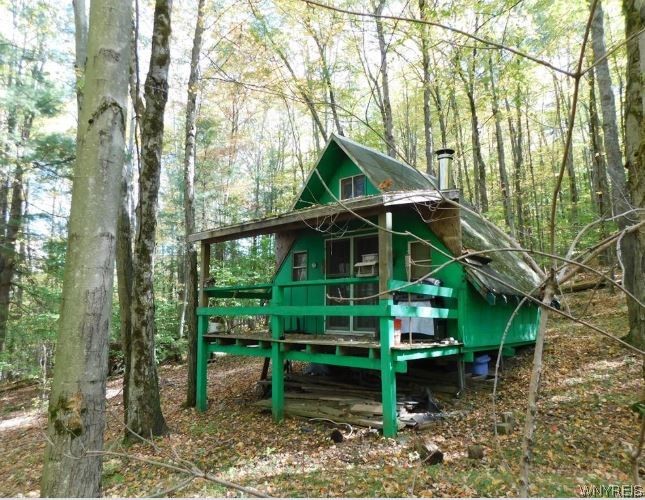 8005 Johnson Hill Road, Unit 2 Clarksville, NY 14715 - Photo 3 of 42