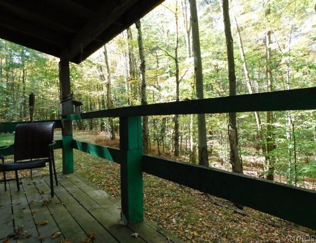 8005 Johnson Hill Road, Unit 2 Clarksville, NY 14715 - Photo 34 of 42