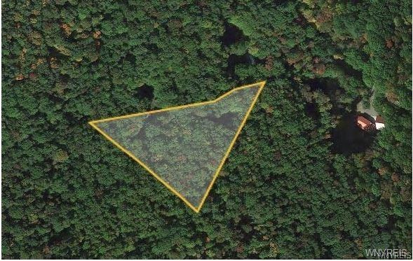 8005 Johnson Hill Road, Unit 2 Clarksville, NY 14715 - Photo 36 of 42