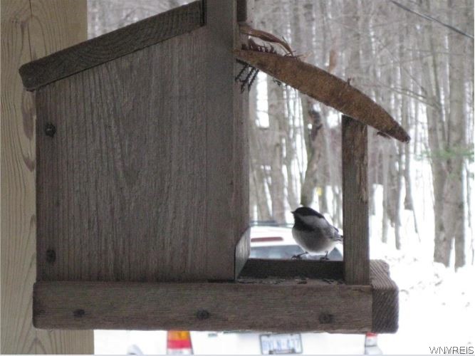 8005 Johnson Hill Road, Unit 2 Clarksville, NY 14715 - Photo 38 of 42