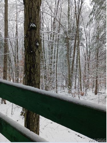 8005 Johnson Hill Road, Unit 2 Clarksville, NY 14715 - Photo 39 of 42