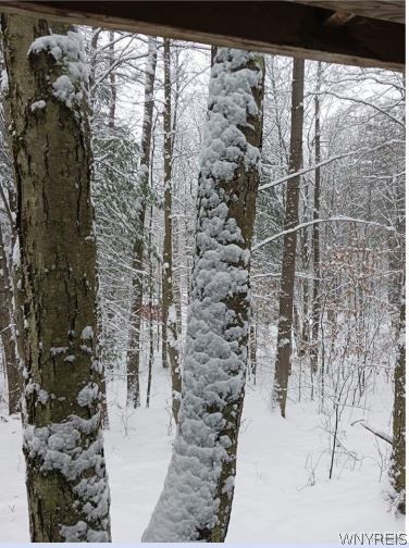 8005 Johnson Hill Road, Unit 2 Clarksville, NY 14715 - Photo 40 of 42