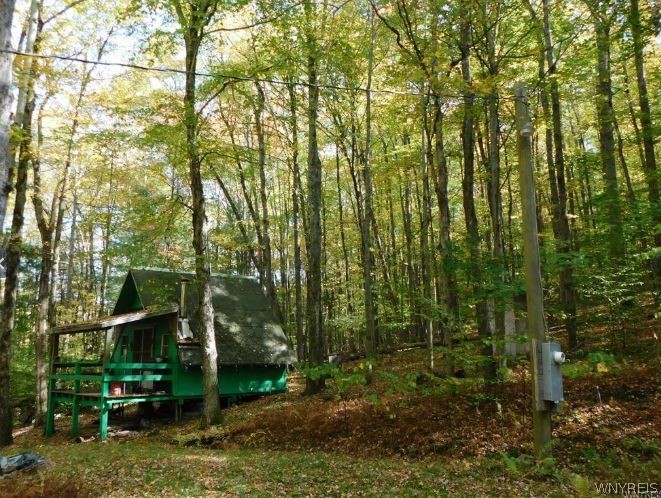 8005 Johnson Hill Road, Unit 2 Clarksville, NY 14715 - Photo 4 of 42