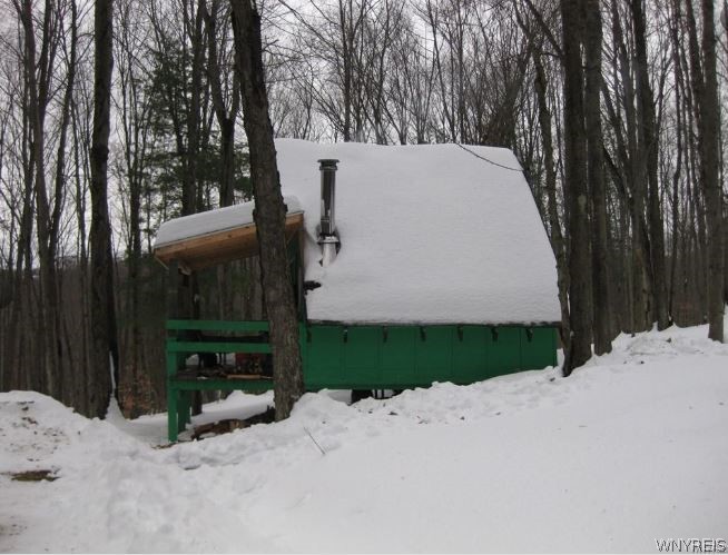 8005 Johnson Hill Road, Unit 2 Clarksville, NY 14715 - Photo 41 of 42