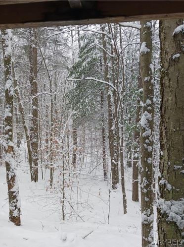 8005 Johnson Hill Road, Unit 2 Clarksville, NY 14715 - Photo 42 of 42