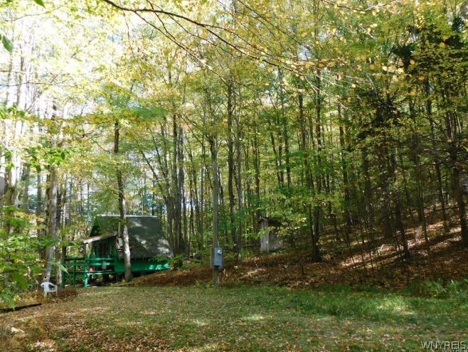 8005 Johnson Hill Road, Unit 2 Clarksville, NY 14715 - Photo 5 of 42