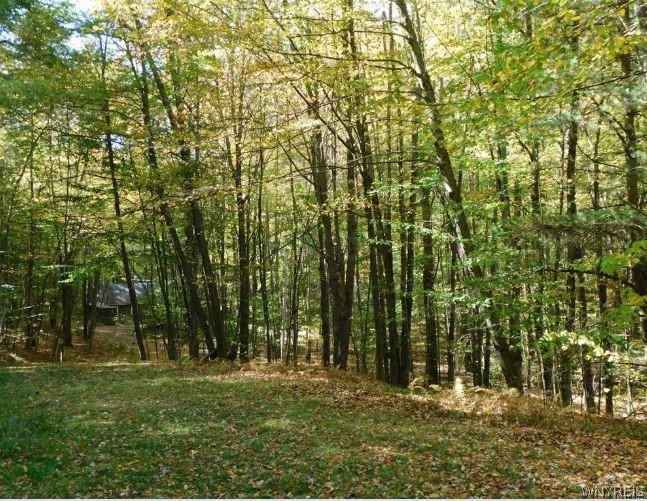 8005 Johnson Hill Road, Unit 2 Clarksville, NY 14715 - Photo 8 of 42