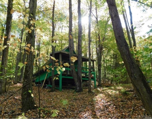 8005 Johnson Hill Road, Unit 2 Clarksville, NY 14715 - Photo 10 of 42