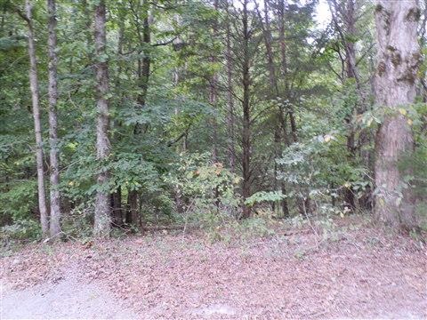 131 Helwals Road Iva, SC 29655 - Photo 6 of 28